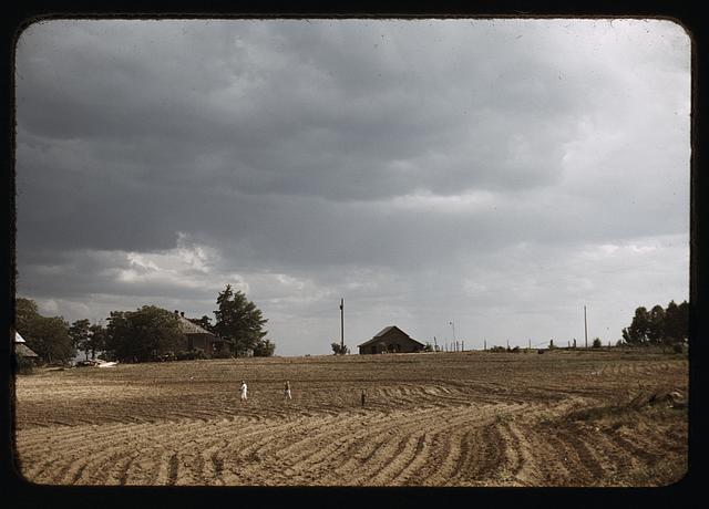 Workers going home from an afternoon of chopping cotton, Greene County, Ga.
