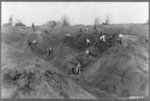 CCC planting black locust trees, Ripley vicinity, Mass.