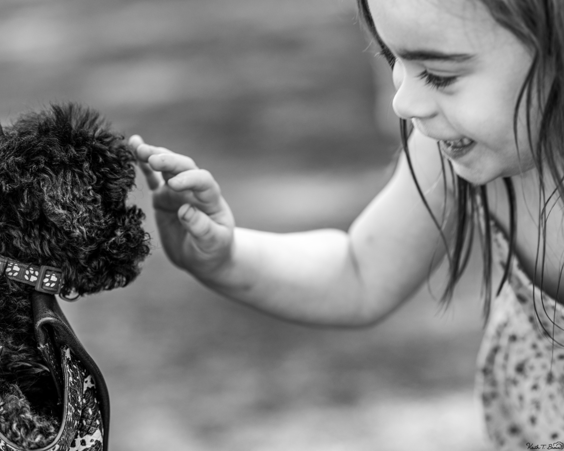 Child's Gentle Touch with Small Dog
