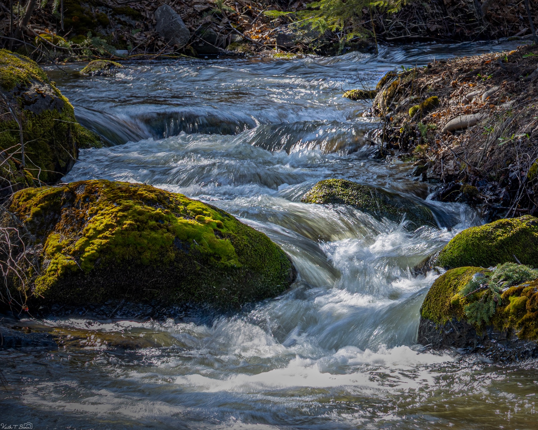 Moss-covered boulders in rushing mountain stream